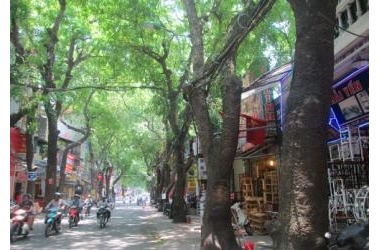Bán nhà ngõ 318 phố La thành, 2 thoáng 51m2, chỉ 3,1 tỷ